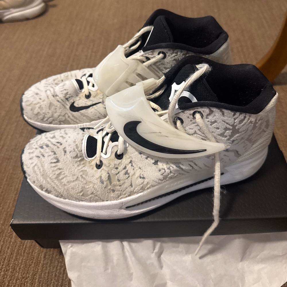 B&W KDs